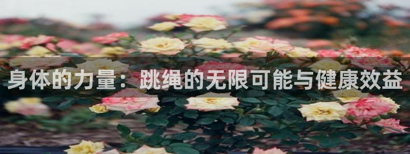 熊猫体育平台官网