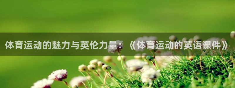 熊猫体育在线