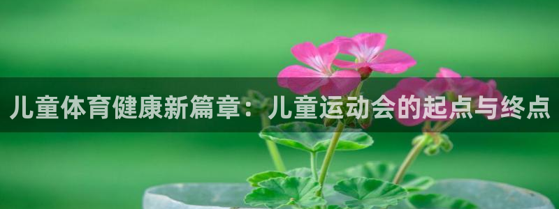 熊猫体育