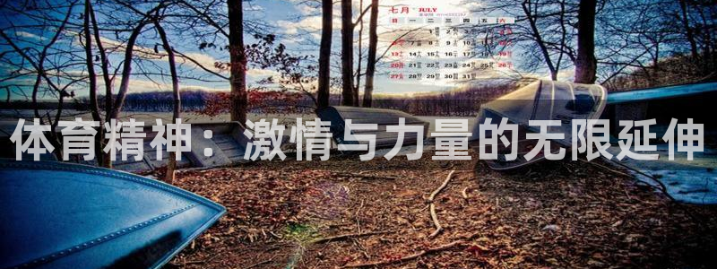 熊猫体育网址