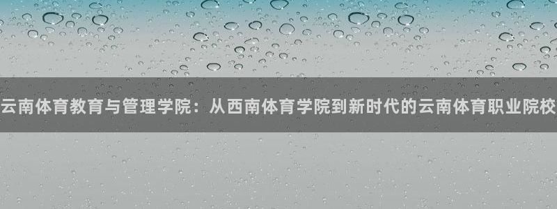 熊猫体育官方网站