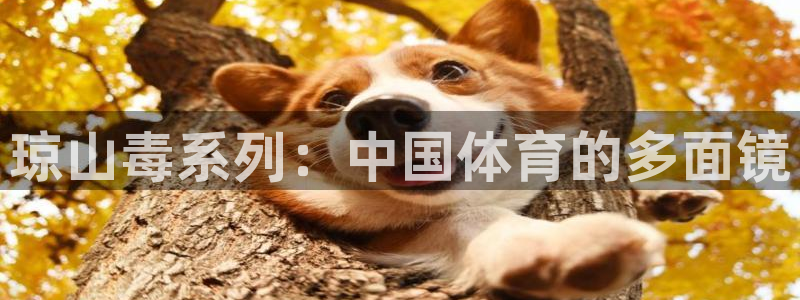 熊猫体育app官方下载最新版