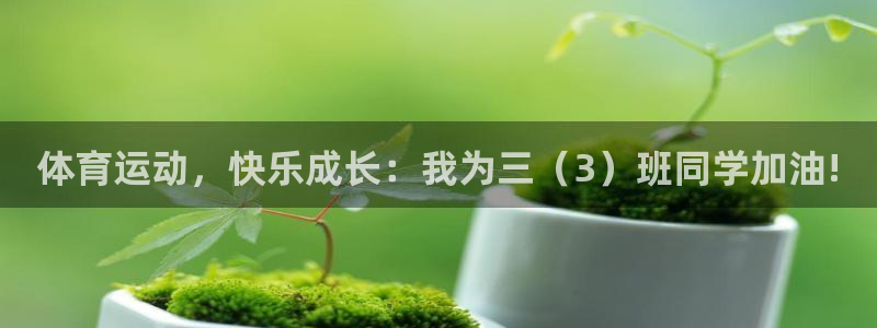 熊猫体育app官网入口