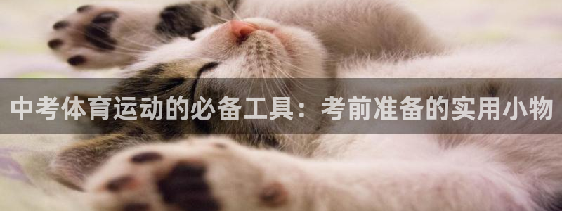 熊猫体育在线观看