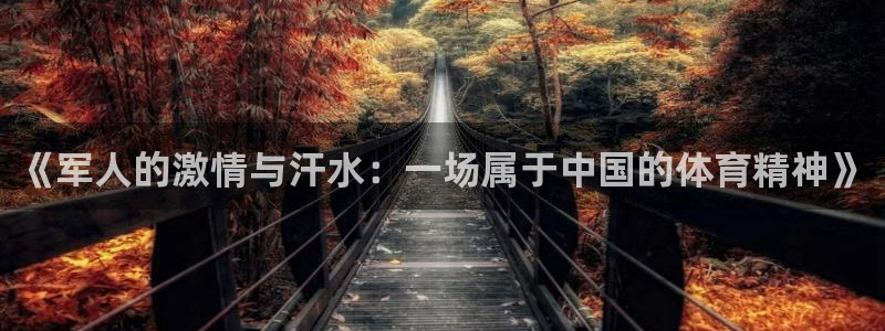 熊猫体育官网