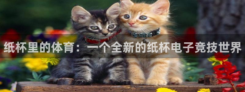 熊猫体育官方网站