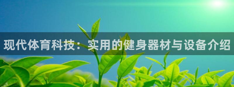 成都金熊猫体育