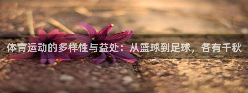 成都金熊猫体育