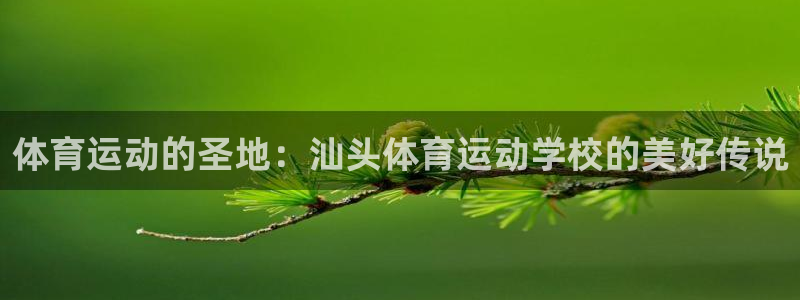 成都金熊猫体育