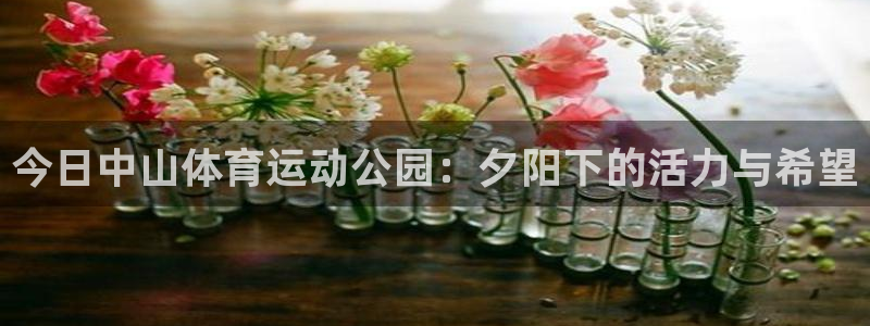 熊猫体育
