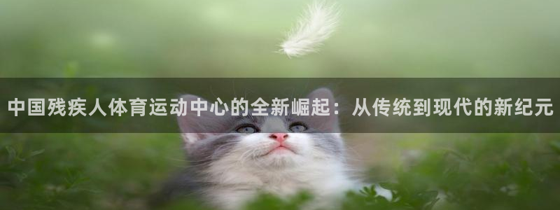 熊猫体育在线