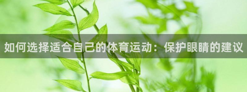 成都金熊猫体育