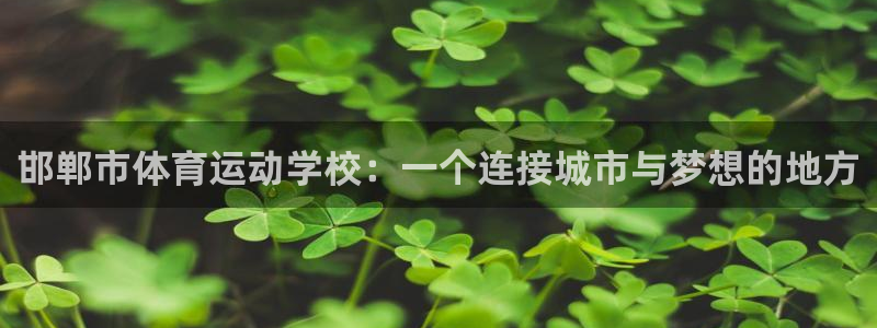 中山熊猫体育